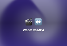 MP4, WebM, and MKV Explained for Everyday Video Users